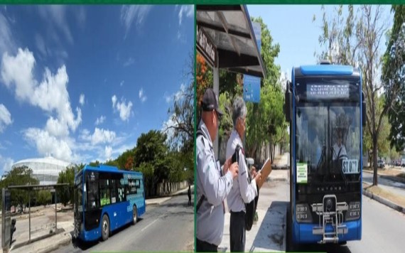 Paro de transportistas, una falta grave: ATY