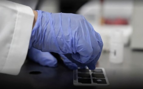 cache/resized/b6d11eb74fff79b1a16ccacc9cef0756.jpg