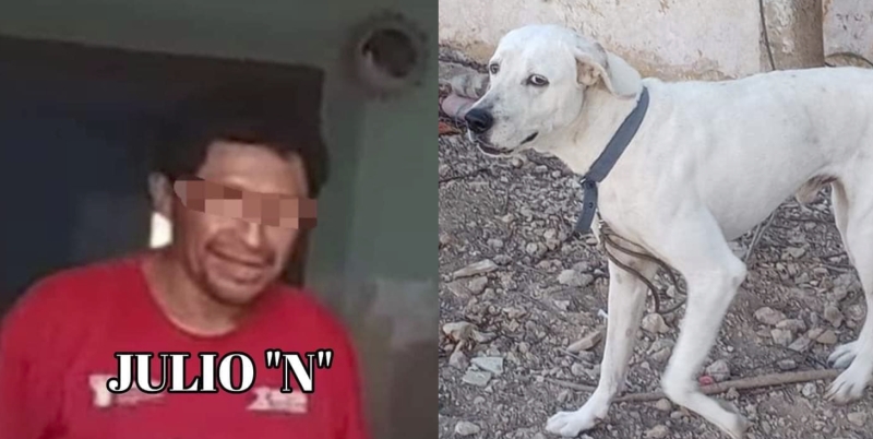 Julio N. pasará más de tres años preso por matar a “ruffo”