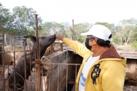 &ldquo;C&iacute;rculo 47&rdquo; da certeza de calidad a productores y consumidores: Ren&aacute;n
