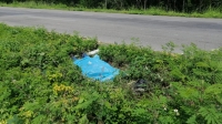 Muere motociclista en la carretera M&eacute;rida-Canc&uacute;n