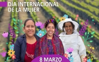 Asesinan 11 mujeres al día en México