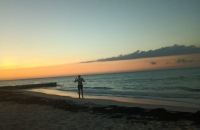 Playas de la entidad, limpias y listas para ba&ntilde;istas: Cofepris&nbsp;