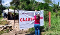 Ordena Profepa definitiva e inmediata de granja porcícola