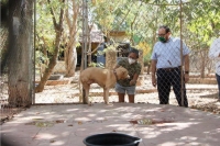 Promueve Ram&iacute;rez Mar&iacute;n el bienestar animal