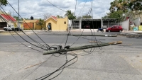 Camión derriba varios postes en Polígono 108