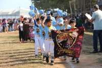 En marcha, Liga Meridana Infantil y Juvenil de B&eacute;isbol