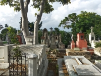 Vasijas, parte fundamental de ritos mortuorios mayas