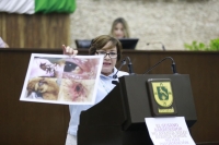 &ldquo;Papel&oacute;n&rdquo; panista en el congreso