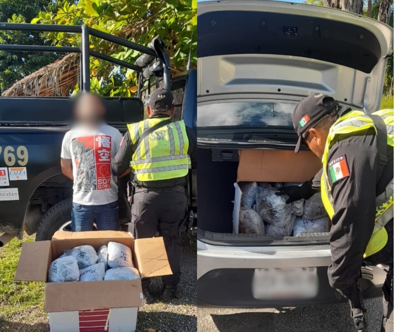 Aseguran cannabis en puesto de inspección de la SSP