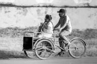 Difunden cuarta exposici&oacute;n virtual del Concurso "La Cuarentena&rdquo;