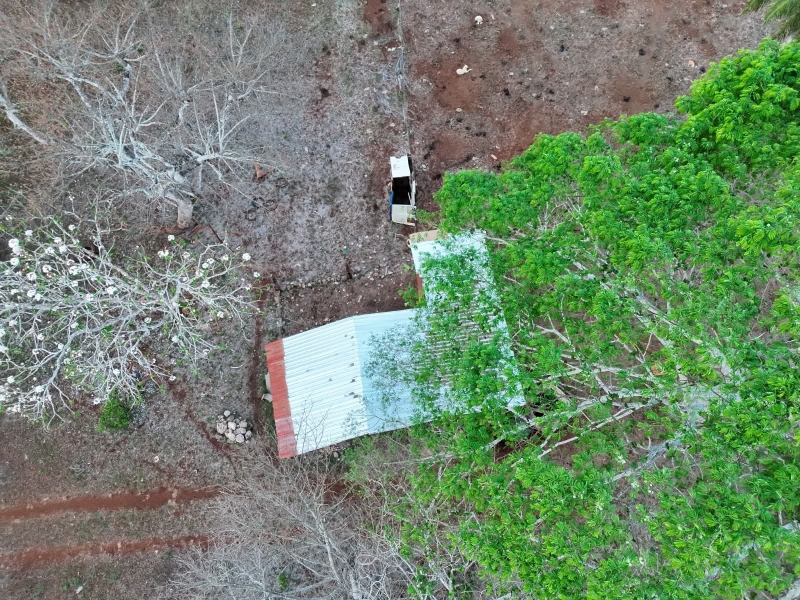 Buscan con drones a joven con discapacidad en Oxkutzcab