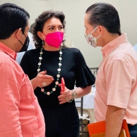 Reforma el&eacute;ctrica tiene trasfondo electoral: Ivonne Ortega