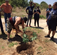 Ceibo, primer &aacute;rbol del &ldquo;Gran Parque de la Plancha&rdquo;