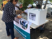 Dicen s&iacute; al Tren Maya