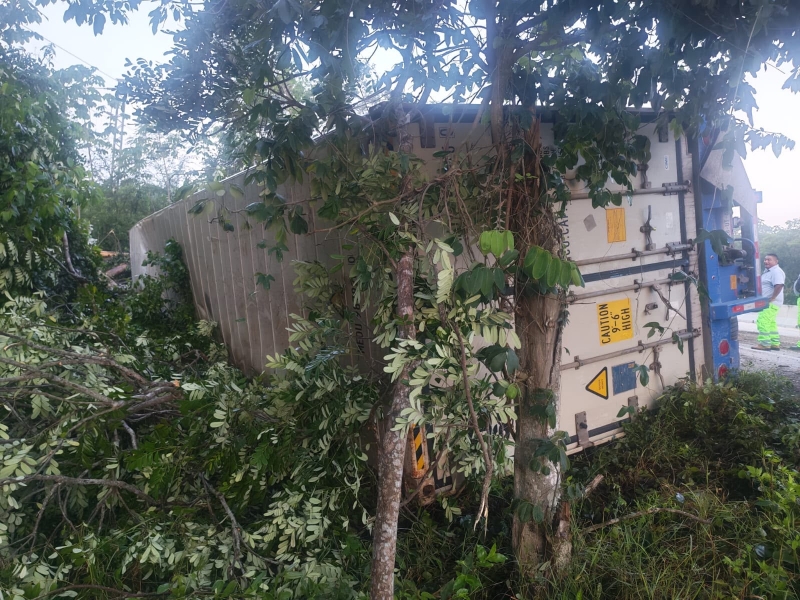 Dormita y vuelca tráiler