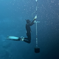 Concluye el Tercer Festival de Buceo Sustentable en cenotes