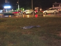 Auto compacto atropella y mata a peat&oacute;n en Perif&eacute;rico de M&eacute;rida