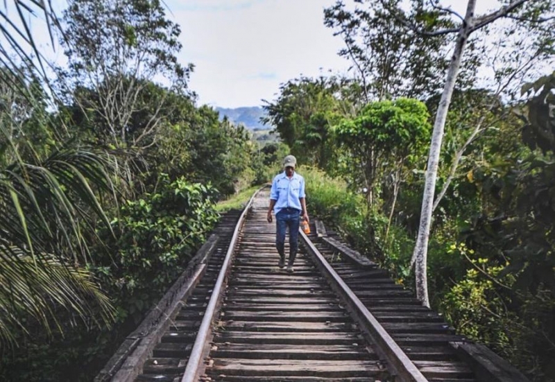 Piden intervención de CIDH para frenar al Tren Maya 