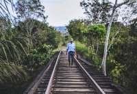 Piden intervención de CIDH para frenar al Tren Maya 