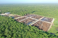 Granja de ganado vacuno ser&aacute; inspeccionada por orden judicial