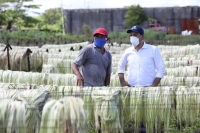 Vila Dosal contin&uacute;a entrega de insumos de &ldquo;Peso a Peso&rdquo;
