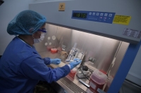 Suman 49 casos de viruela s&iacute;mica en Yucat&aacute;n