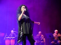 Cartelera del fin de semana presenta música del mundo y mucho más