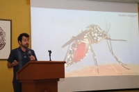 Investigaci&oacute;n sobre Aedes aegypti con alcance internacional
