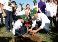En marcha, Campa&ntilde;a de Reforestaci&oacute;n 2019