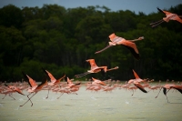 Paradores tur&iacute;sticos esperan m&aacute;s de 800 mil personas este verano