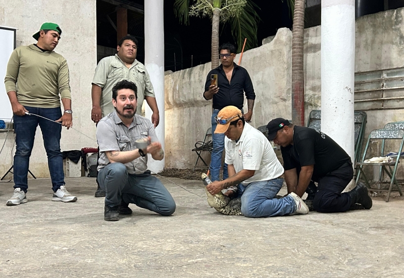 Río Lagartos, sede del primer Taller de Manejo de Cocodrilos