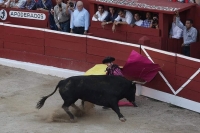 Proh&iacute;ben calesas, corridas de toros y peleas de gallos en Quintana Roo
