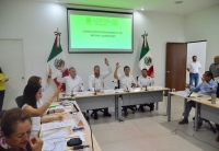Video: Yucat&aacute;n, con leyes ambientales vanguardistas