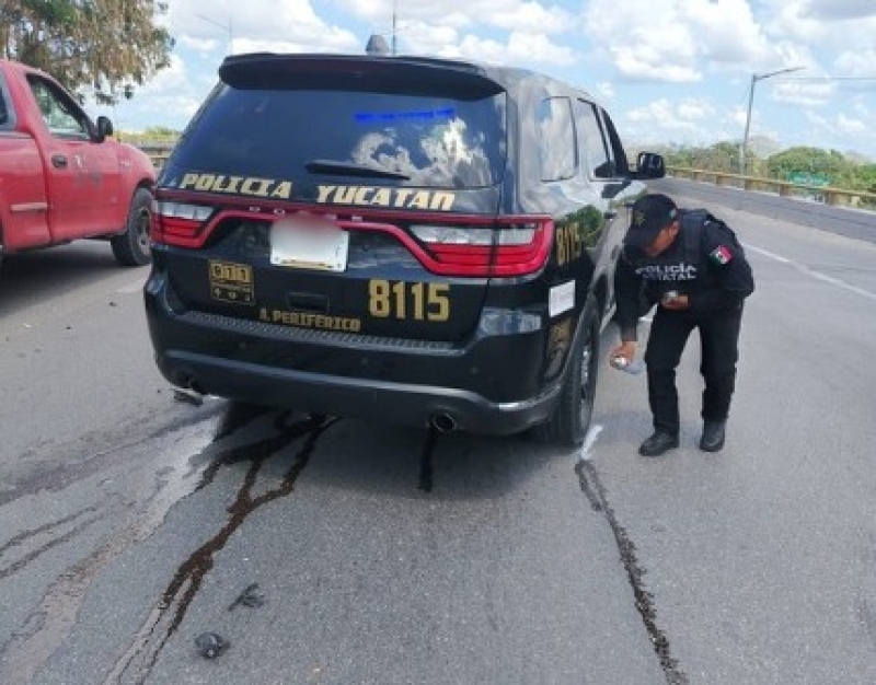 Aclara SSP versiones falsas tras choque