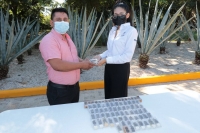 Suman 15 mil abejas reinas entregadas para respaldar la apicultura en Yucat&aacute;n: Seder