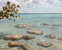 Alertan sobre da&ntilde;os en la laguna de Bacalar