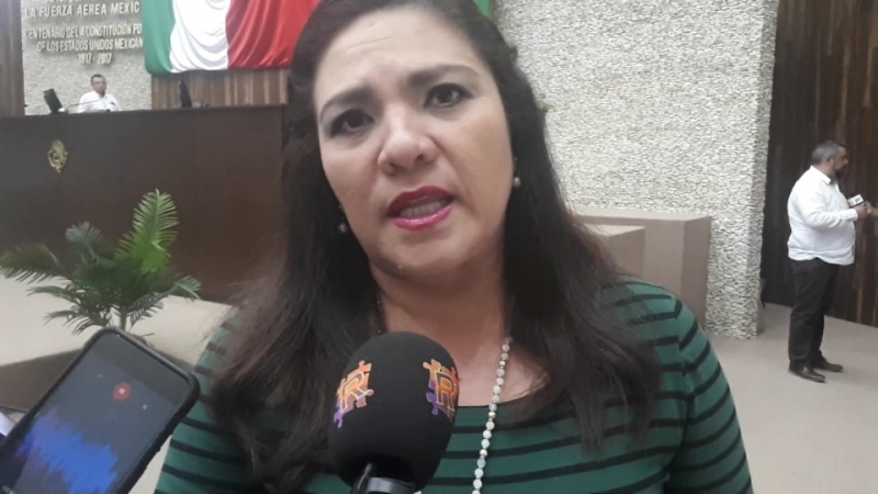 Seguridad y desarrollo social, prioridades del PAN en presupuesto 2020