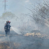 Controlan incendio de maleza en Lomas de Ciudad Caucel