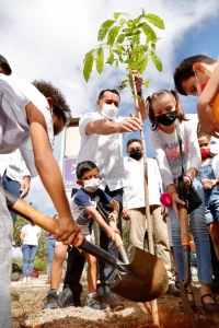 Ayuntamiento de M&eacute;rida inicia jornada &ldquo;Adopta un &Aacute;rbol&rdquo;