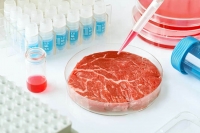 Carne cultivada in vitro, opci&oacute;n alimentaria a futuro