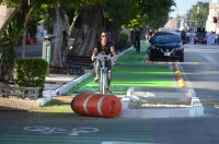 PRI detr&aacute;s de protestas contra ciclov&iacute;as, acusa diputado