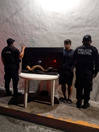 Robó a su hermano; ya está preso