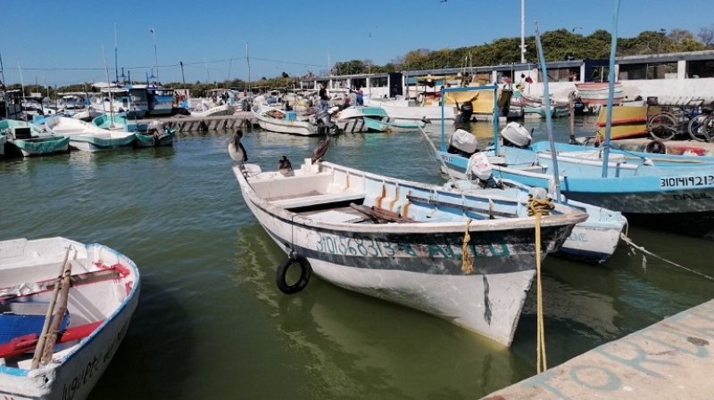 Pesca furtiva afecta gravemente al sector pesquero