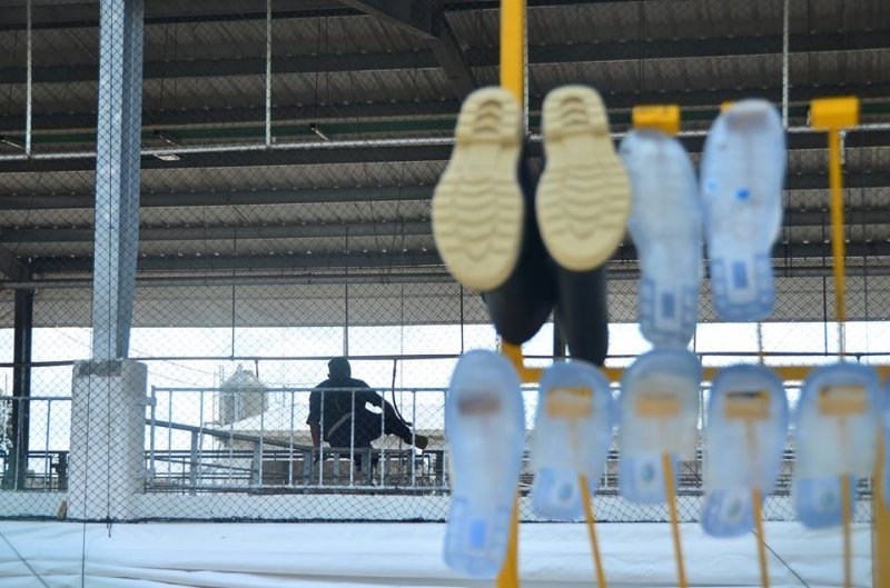 Revés del Poder Judicial a mega granja de PAPO