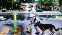 Ram&iacute;rez Mar&iacute;n a favor de los derechos de los animales