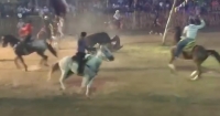 Muere caballo en torneo de lazo en Tezom&oacute;n