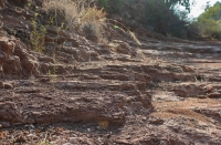 Actividades humanas, causa de la degradaci&oacute;n de los suelos