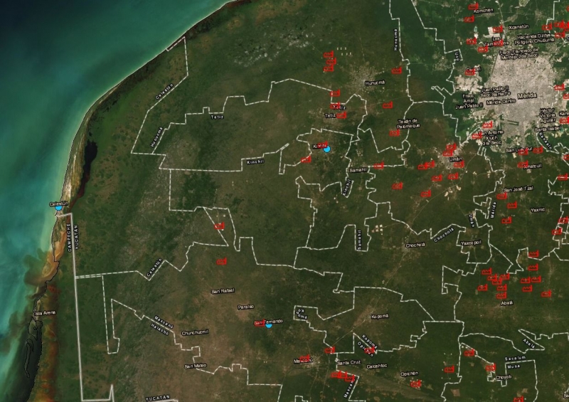 Convocan pueblos mayas a autoconsulta por granjas porcícolas