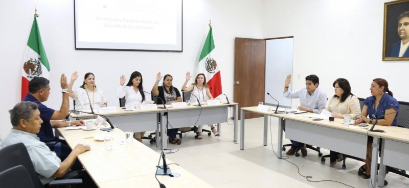 Analizan ley de videovigilancia